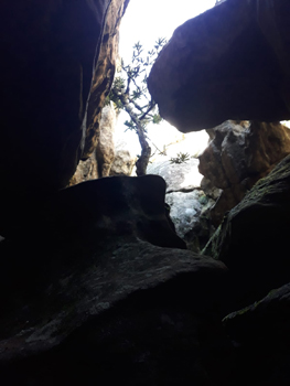 Robs Tours - Tranquility Cracks