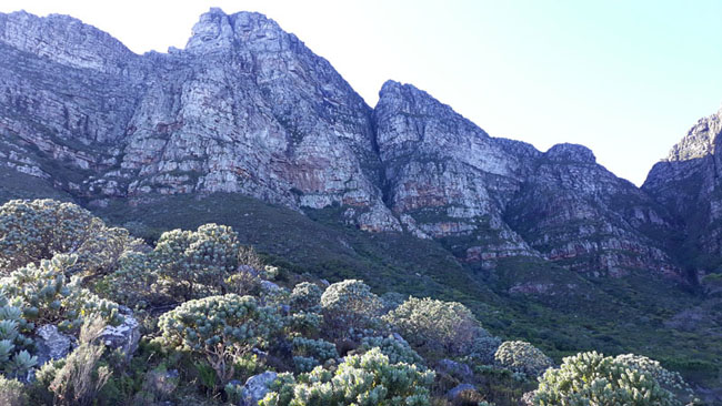 Robs Tours - 12 Apostles