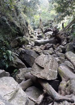 Small scrambling on Skeleton Gorge