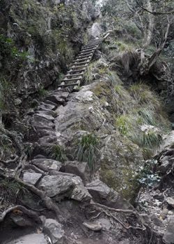 Ladder on Skeleton Gorge